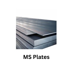 ms plates